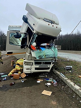 В Удмуртии грузовик врезался в электроопору