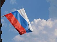 13-метрового змея в цветах российского флага запустят в Петербурге