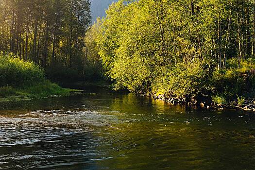 Гид рассказал о непроходимом участке на пути пропавших в Пермском крае туристов