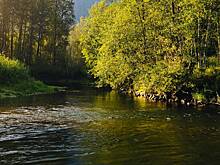 Гид рассказал о непроходимом участке на пути пропавших в Пермском крае туристов