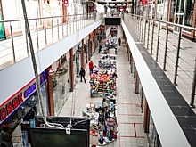 Саратовская область оказалась на первом месте в ПФО по сдаче нормативов ГТО