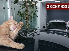 Автоэксперт рассказал, как изменения подсчета утильсбора скажутся на ценах
