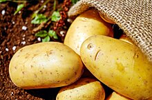 Аграрий: Абхазия потребляет 500 тонн картофеля в месяц