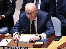 Небензя предрек появление на Украине «гитлерюгенда»