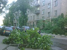 Огромное дерево упало на жилой дом в Москве