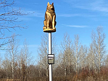 Тюменцы поставили памятник местному «Хатико», который ждал хозяина 13 лет