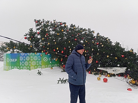 Падению главной новогодней ёлки в Воткинске посвятили стихи