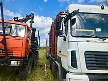 В Тужинском районе бревно раздавило водителя КамАЗа