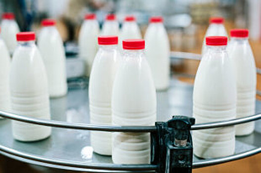 Россия и Беларусь создадут рабочую группу по вопросу поставок молока
