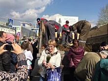 Барнаульцы за 2 часа разобрали 20 тысяч сеянцев хвойных деревьев