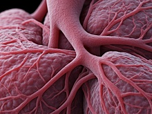 В России нашли способ выявлять рак лёгкого на ранней стадии в 2-3 раза чаще