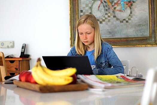 Школьники Можайского на каникулах смогут поучаствовать в онлайн-викторинах и квизах от ГМЦ