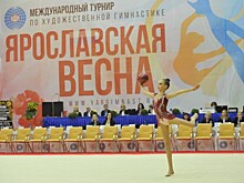 Дмитрий Миронов: «Турнир по художественной гимнастике «Ярославская весна» давно стал одной из визитных карточек Ярославля»