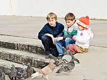 Россиян предупредили о возможных эпидемиях