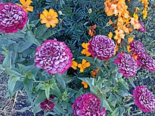 Первый снег в Новосибирске: горожане вспомнили о снегопадах в СССР