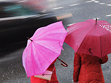 Москвичам пообещали сильные дожди