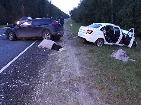 Уголовное дело возбудила вачская полиция по факту ДТП с двумя погибшими женщинами