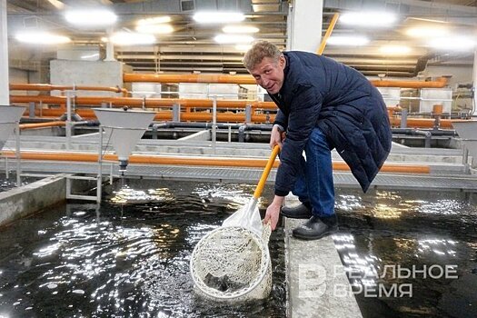 В Татарстане растет потребление рыбы и падает производство