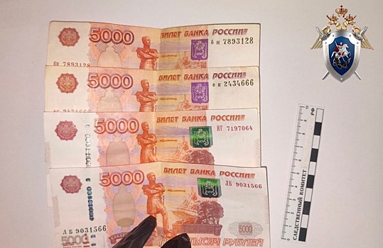 Съехавший в кювет нетрезвый нижегородец пытался дать взятку госавтоинспектору