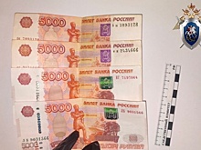 Съехавший в кювет нетрезвый нижегородец пытался дать взятку госавтоинспектору