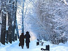 Наедине с природой: по каким экомаршрутам прогуляться в Москве зимой
