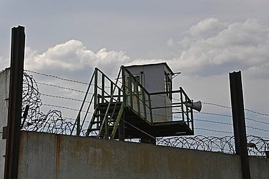 Депутаты предложили сажать коллекторов на десять лет