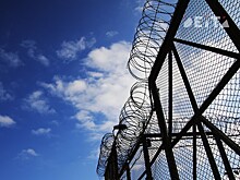 Сладкая жизнь довела до тюремных нар