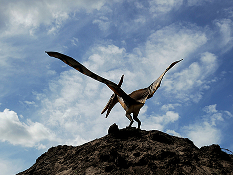 В Австралии обнаружили останки «быстроходного» динозавра