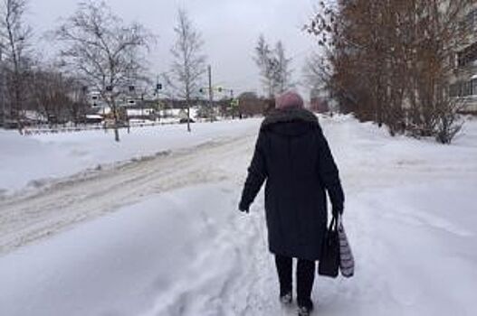 Мэрия Ярославля платит за складирование несуществующего снега