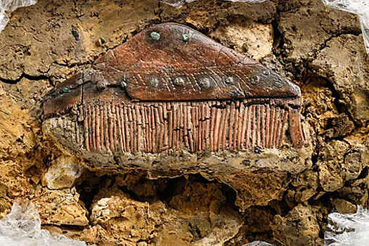 RP: в Германии обнаружили 1700-летнее захоронение времен Римской империи