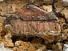 RP: в Германии обнаружили 1700-летнее захоронение времен Римской империи