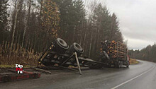 Вывалившиеся из лесовоза бревна засыпали остановку на Шуйском шоссе