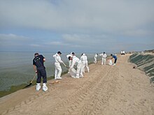 Отелям и санаториям Анапы предложили разгонять туристов с пляжей