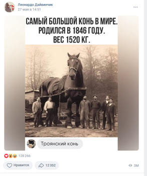 Снимок самого большого коня в истории оказался фейком