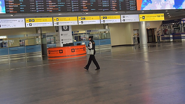 Более 30 авиарейсов отменили в аэропортах Москвы из-за непогоды