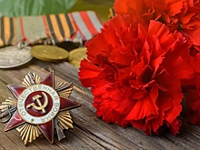 ВЦИОМ: Россияне убеждены, что надо хранить память о Великой Отечественной войне