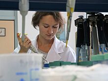 В Красноярске стартовал проект популяризации науки Science Slam University