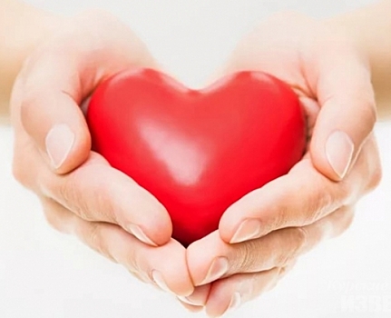 День сердца в Курске: бесплатные консультации и комплексное обследование состояния сердечно-сосудистой системы