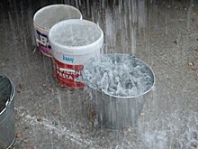 Аграрии Севастополя оценили последствия непогоды