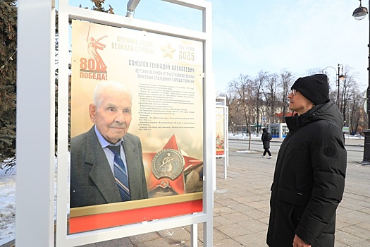 Почетными гражданами Камышина стали пять ветеранов Великой Отечественной войны