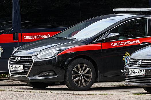 Россиянин все лето насиловал маленькую падчерицу и поплатился