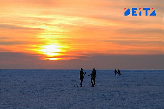 Растает за три года: ученые рассказали о судьбе Арктики