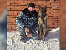 В Чувашской Республике служебно-розыскная собака помогла полиции задержать серийных воров-гастролеров