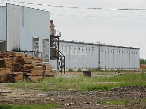 Власти Югры продают акции крупного лесопромышленного производства
