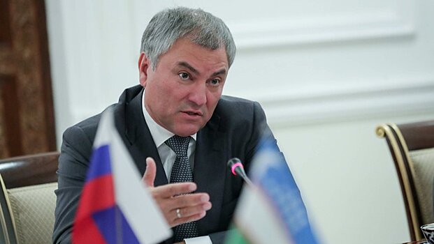 Председатель ГД назвал «стыдобищей» мониторинг ПАСЕ по соблюдению прав полов в РФ