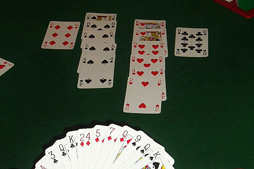 В школах могут появиться секции ГТО и спортивного бриджа