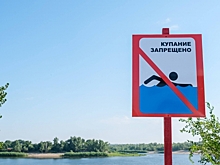 В Волгограде будут судить хозяйку турбазы, где мужчина повредил позвоночник