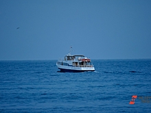 Запустят ли серийное производство электросудна на водороде после испытаний в Ленобласти