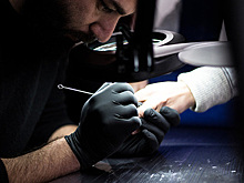 Жириновский обеспокоился собачьей мафией