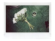 В Москве открылась выставка снимков Алены Чендлер